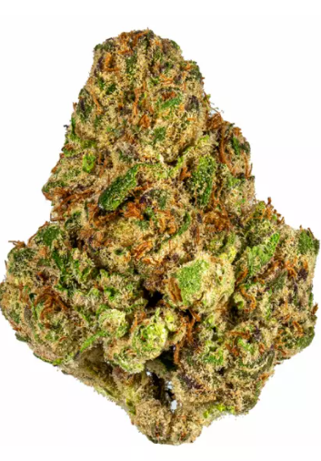 Lava Cake